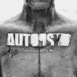 Новое в каталоге 0