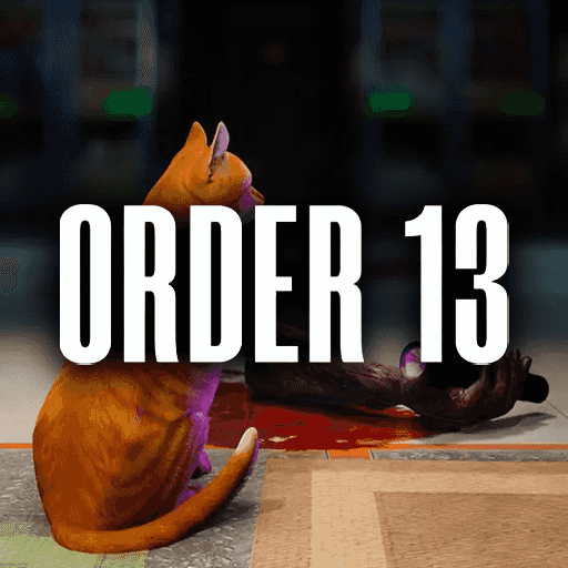 ORDER 13