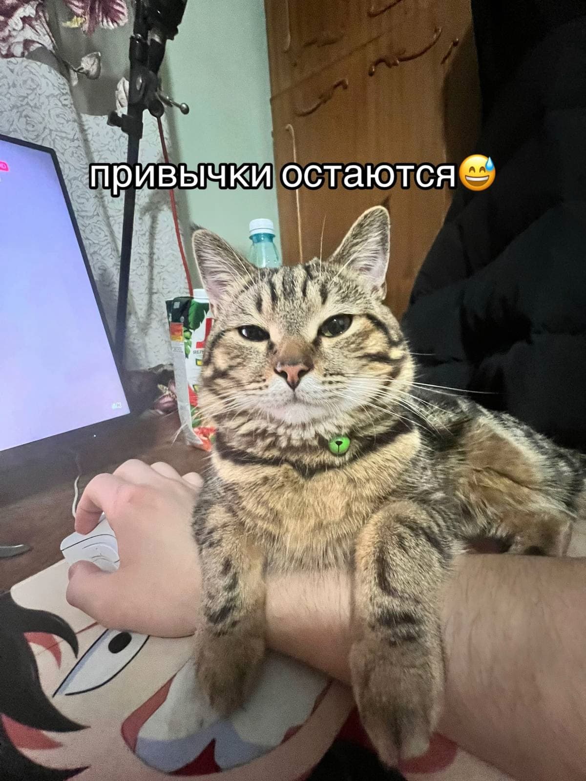t-aJydsZPFo1.jpg
