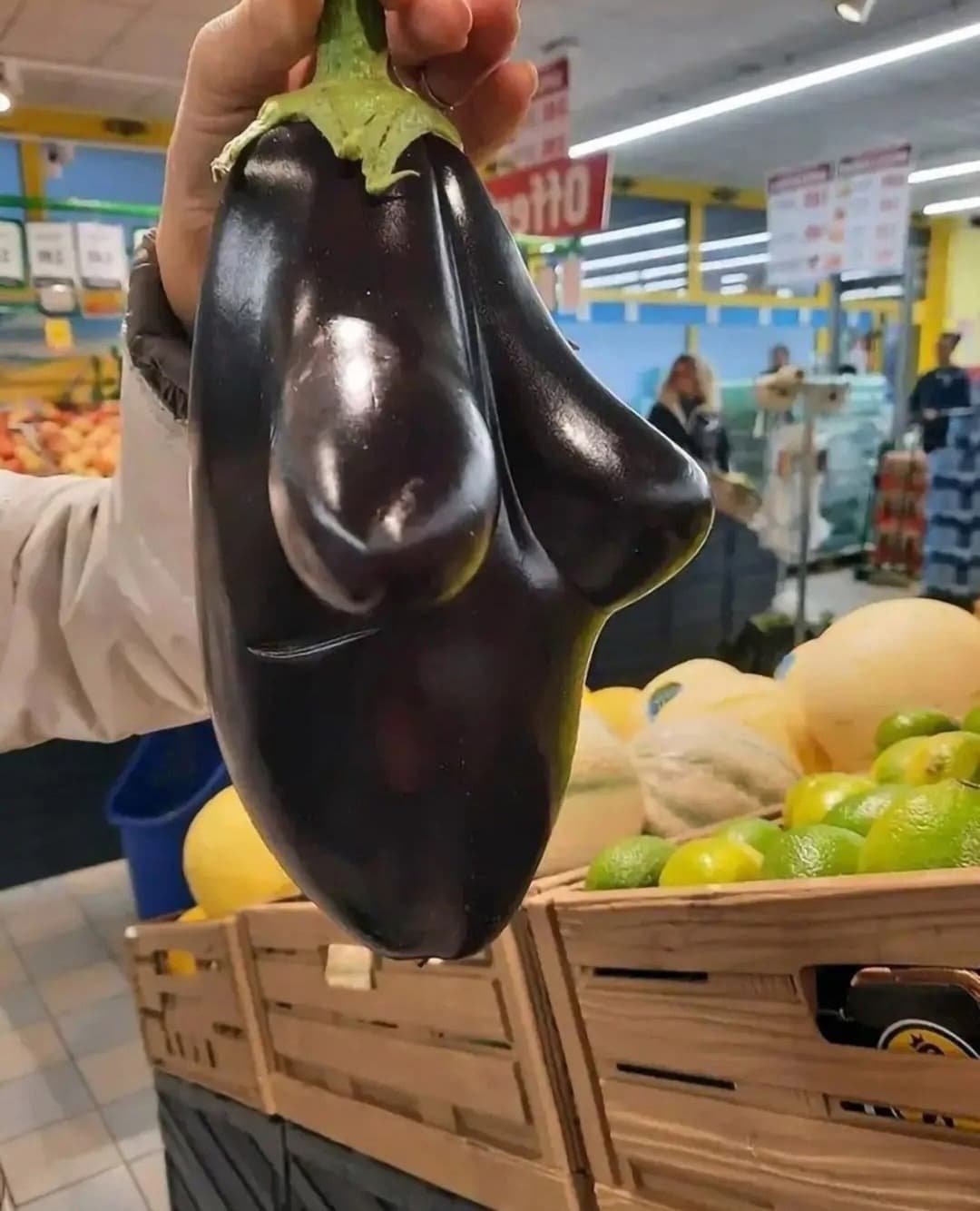 НовыйХолст1ч.jpg