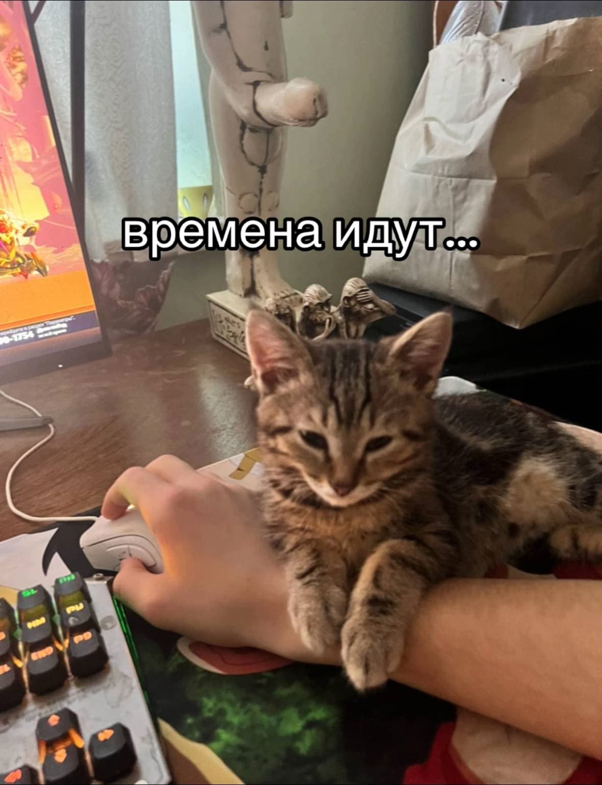 t-aJydsZPFo.jpg