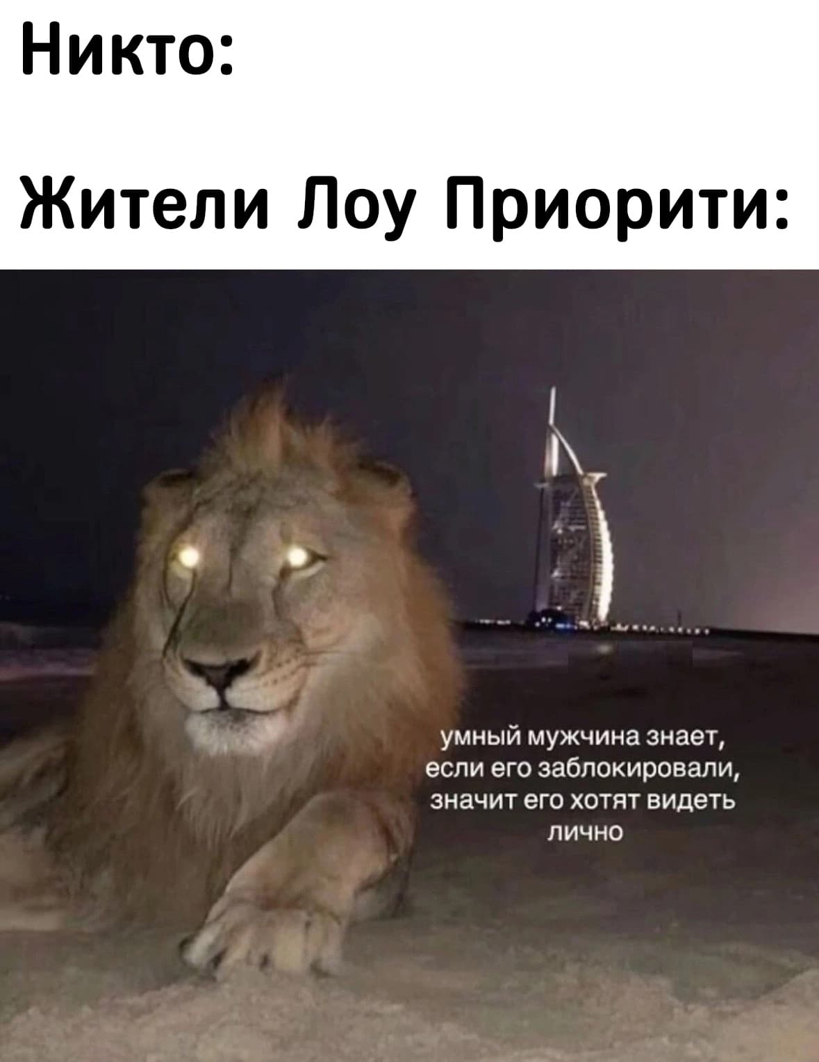 НовыйХолст5ваы.jpg