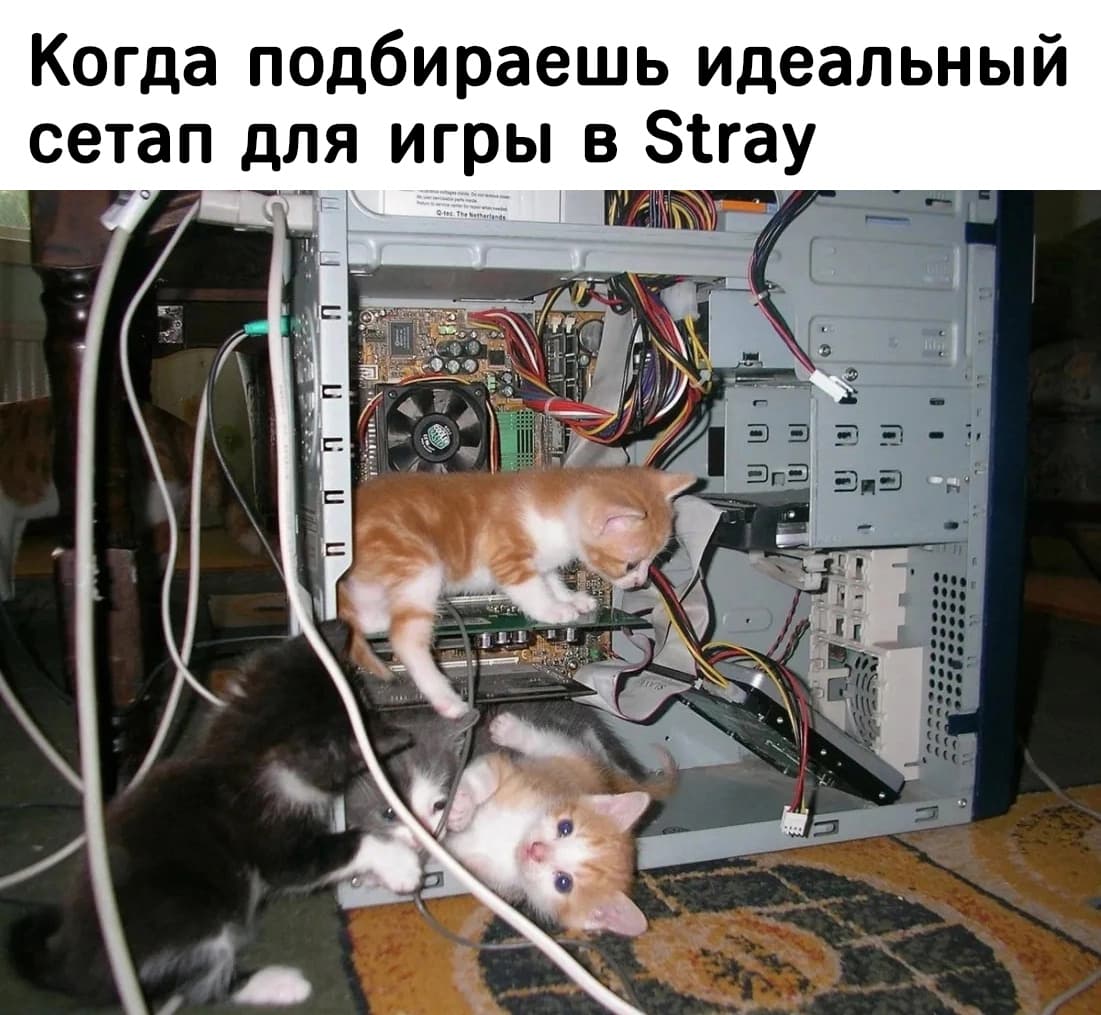 НовыйХолст10d.jpg