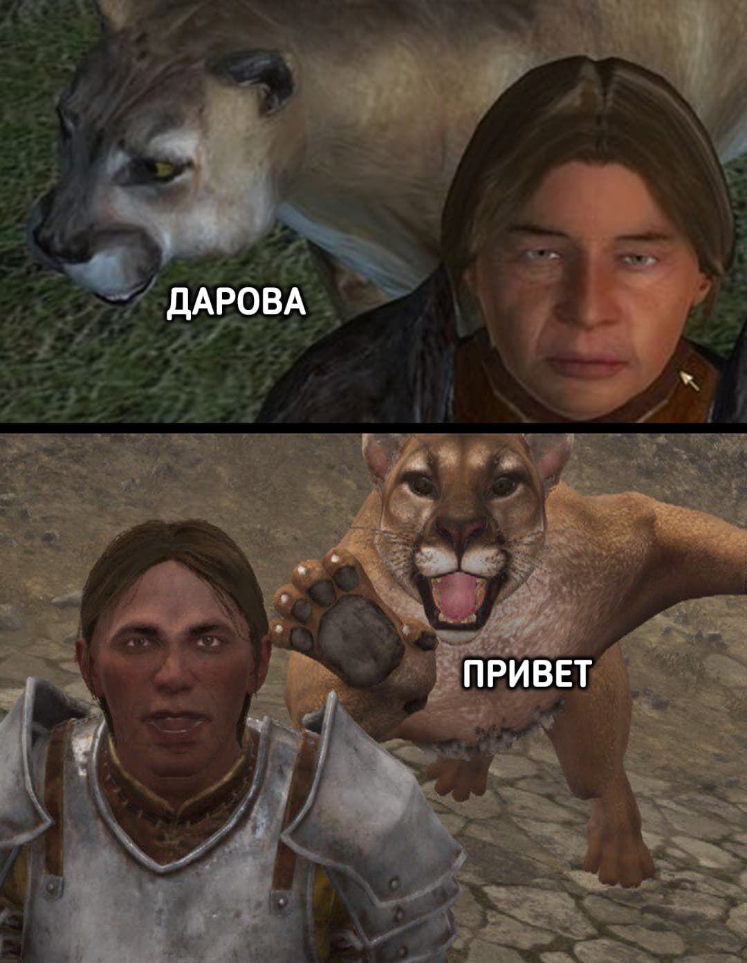 5GY5_0gp2dE.jpg