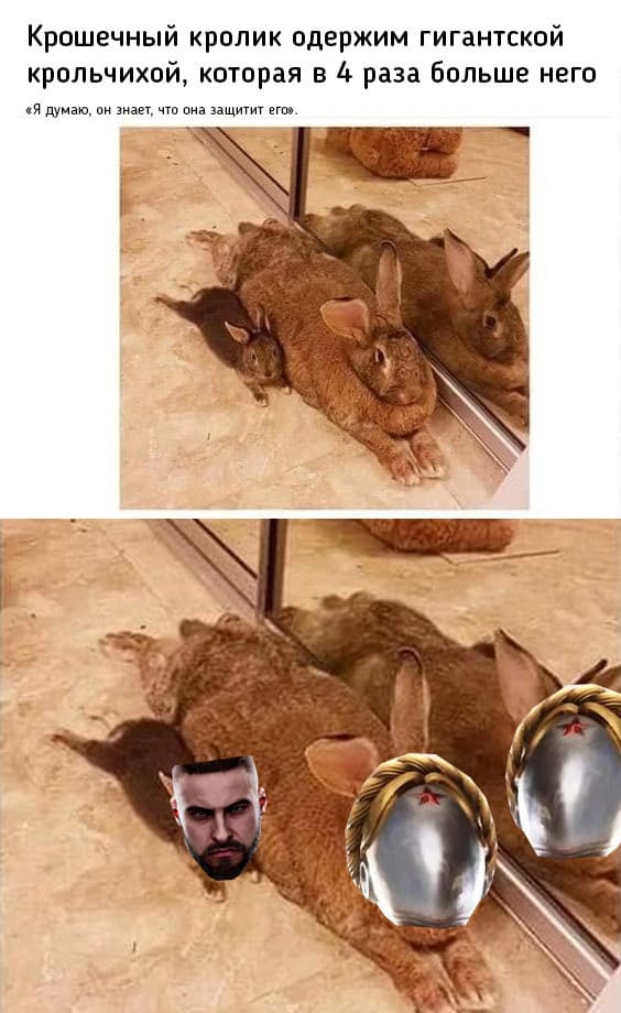 НовыйХолст21.jpg