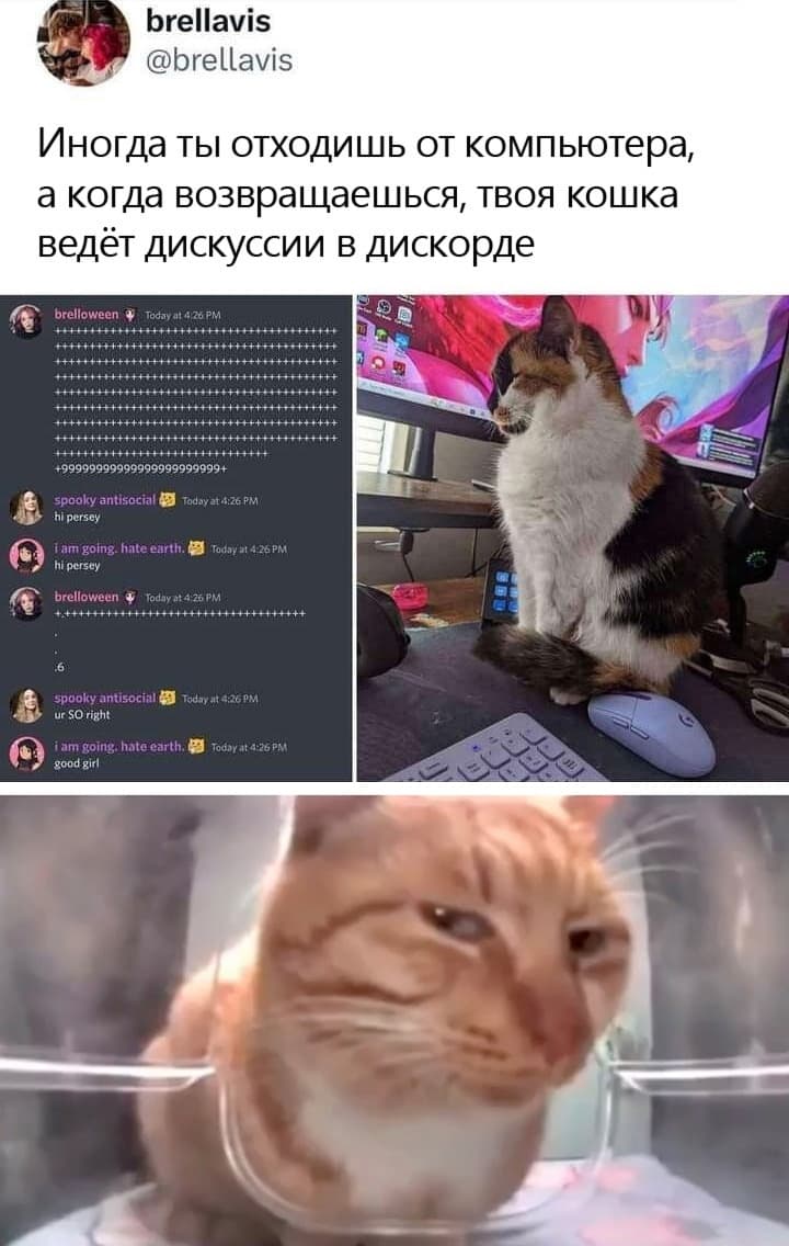 НовыйХолст6.jpg