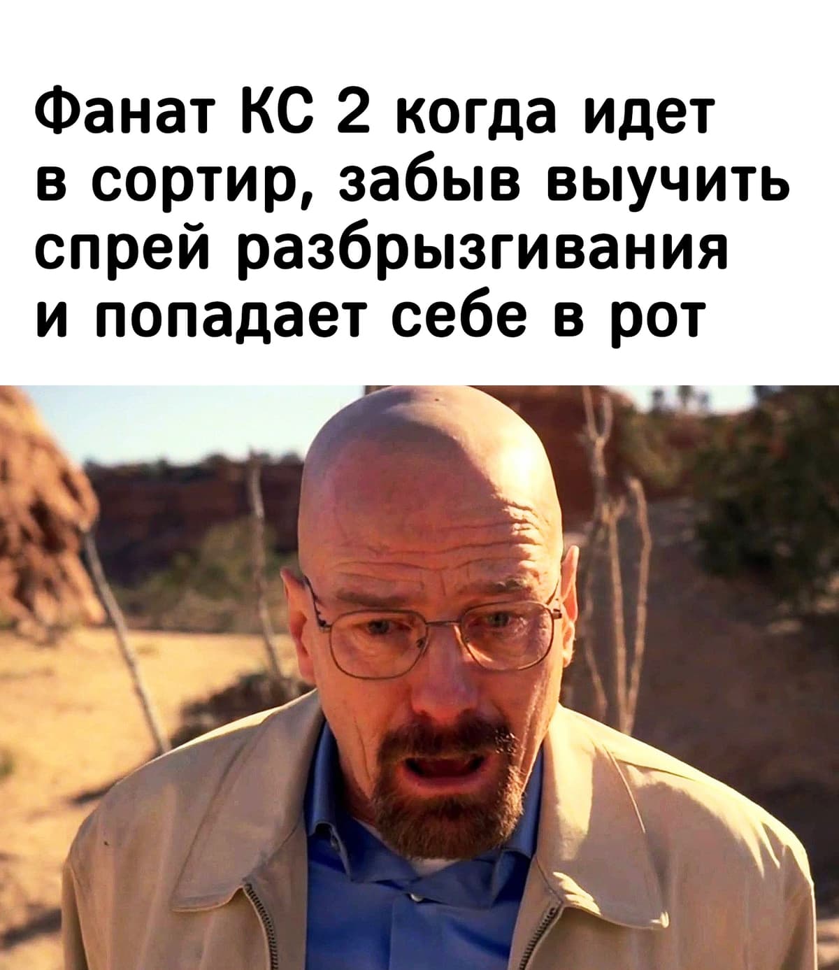 НовыйХолст12в.jpg