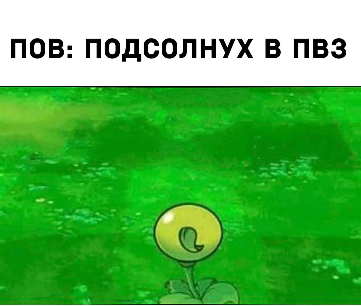 НовыйХолст3в.jpg