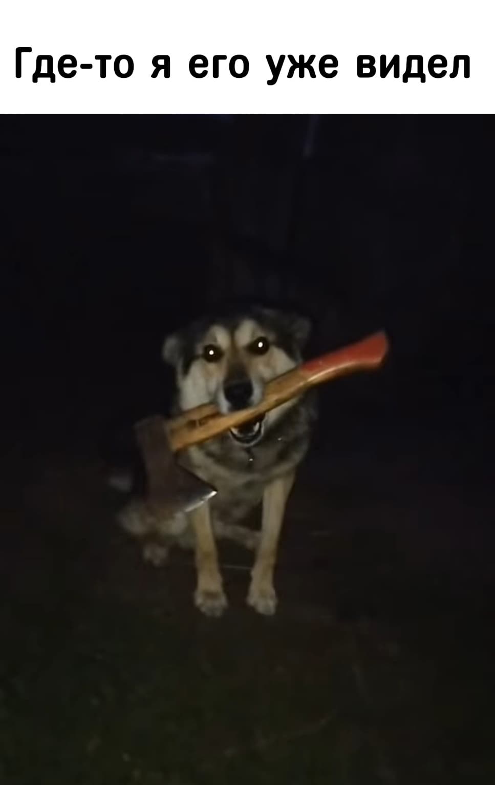 НовыйХолст2а.jpg