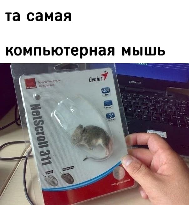 НовыйХолст28ыф.jpg