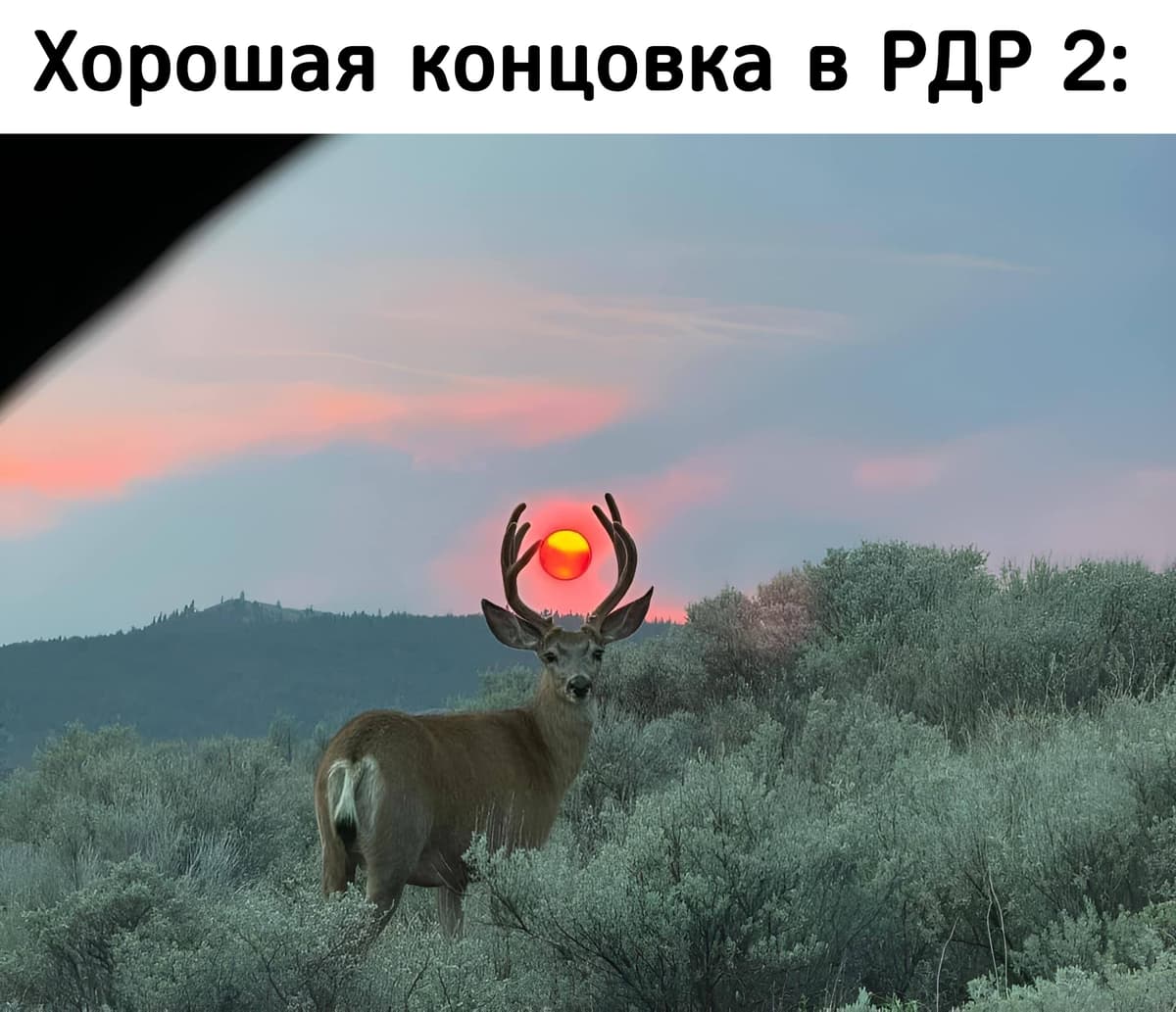 НовыйХолст30а.jpg