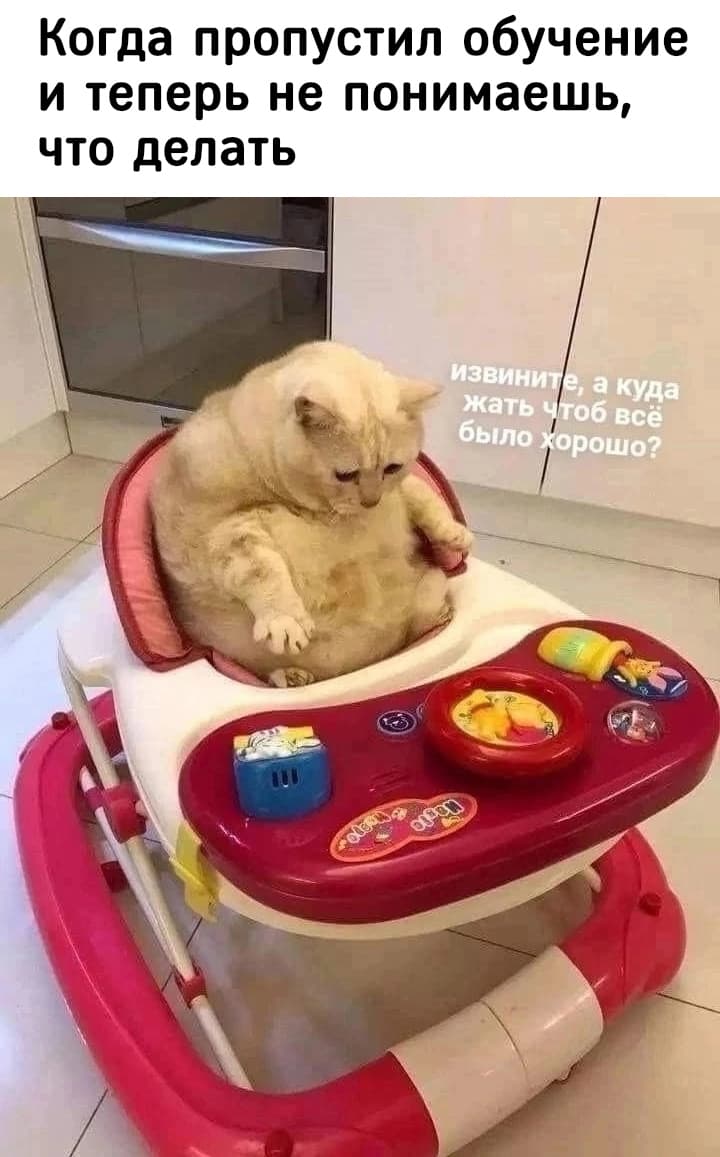 НовыйХолст4вв.jpg