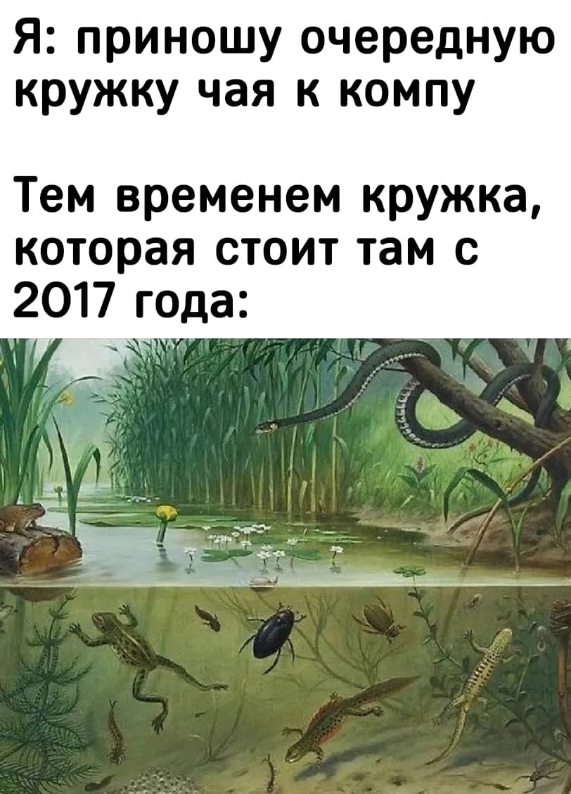 НовыйХолст11вфы.jpg