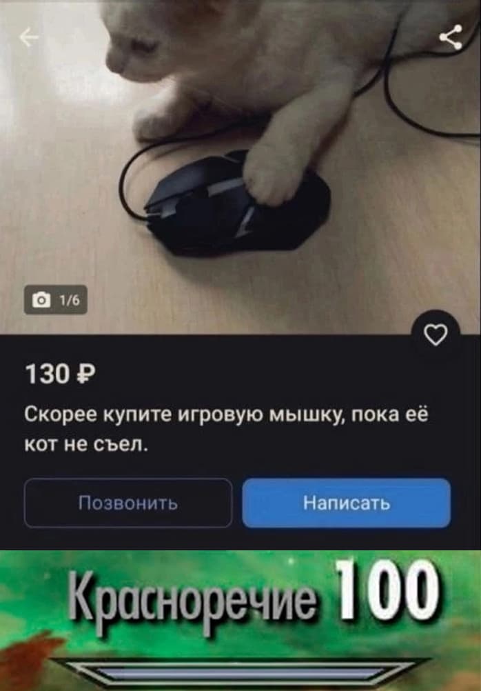 НовыйХолст9в.jpg