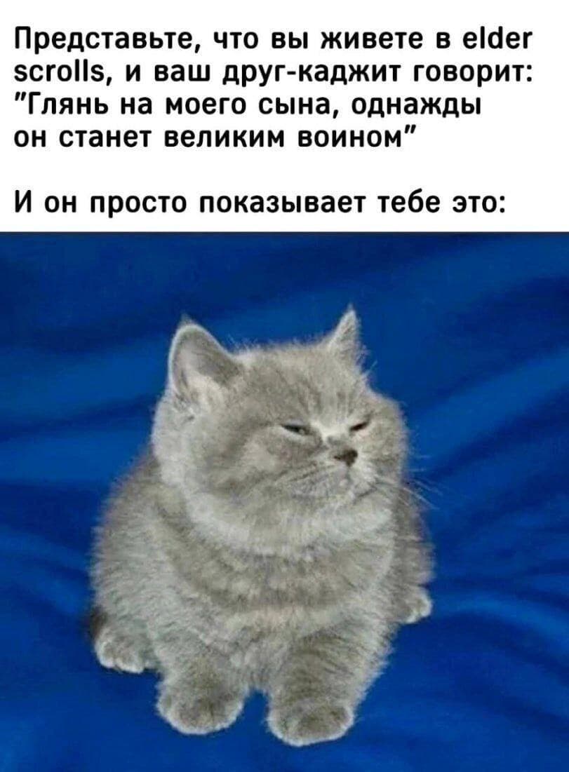 9e147433-9f49-5356-b52a-a76a2f420c7c.jpg