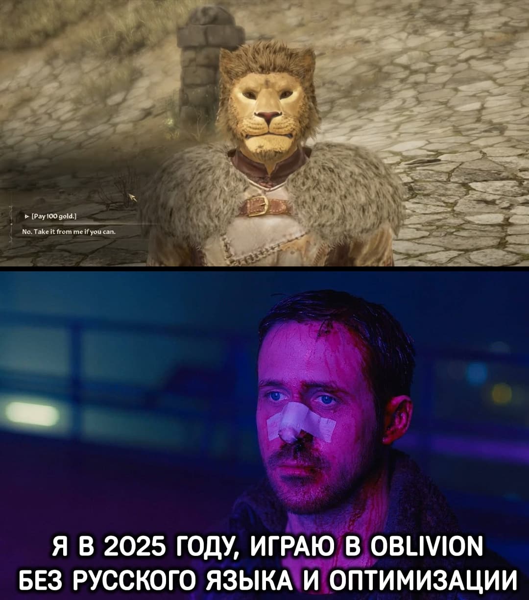 gzSY56p5kZYй.jpg