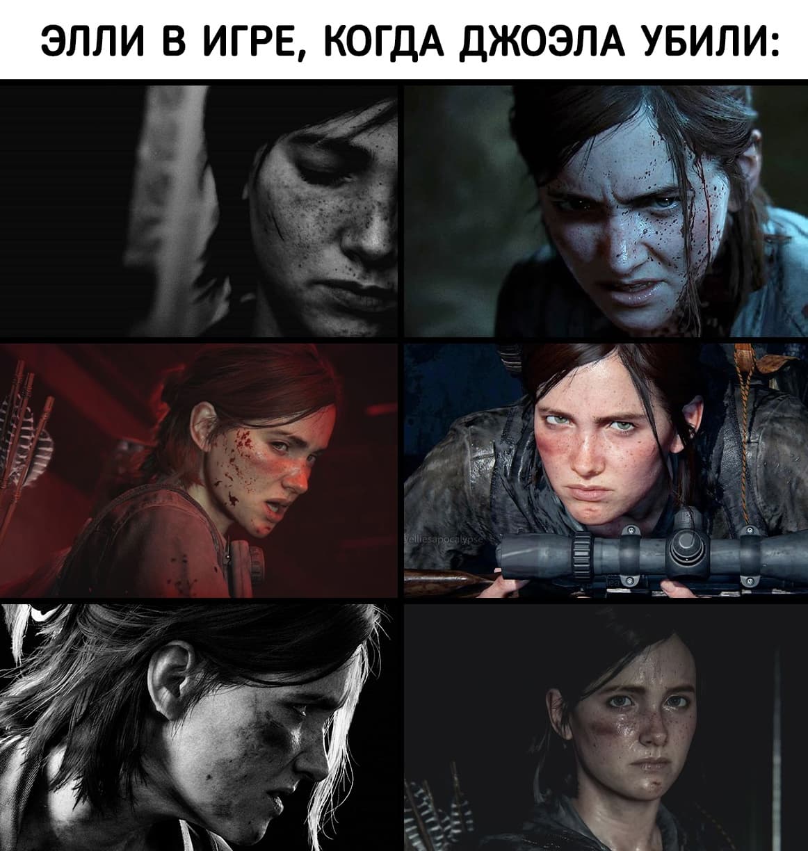 ZYMupc6Z-wM.jpg