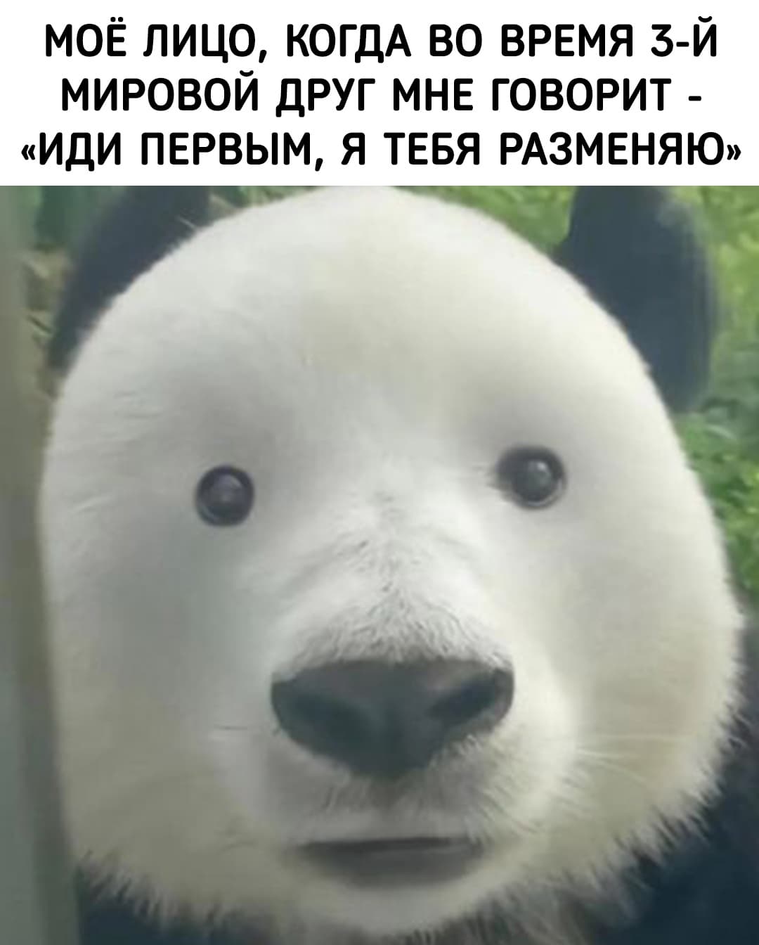 LmFfDryF1Zw.jpg