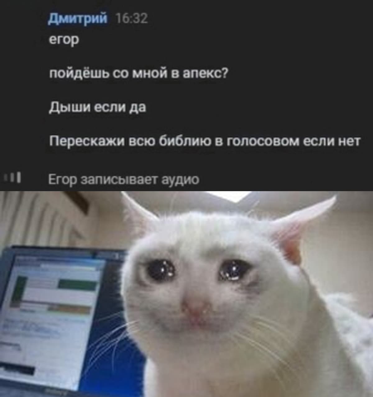 НовыйХолст8вы.jpg