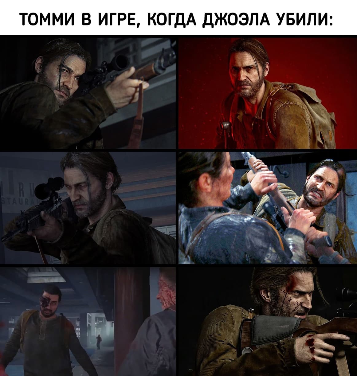 ZYMupc6Z-wM11.jpg