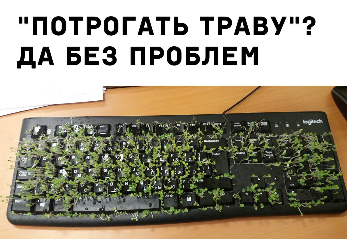 НовыйХолст21уу.jpg