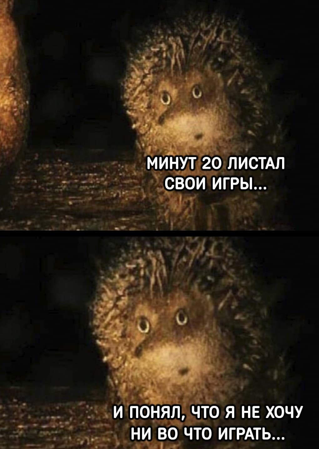HJIPpNZAukE.jpg