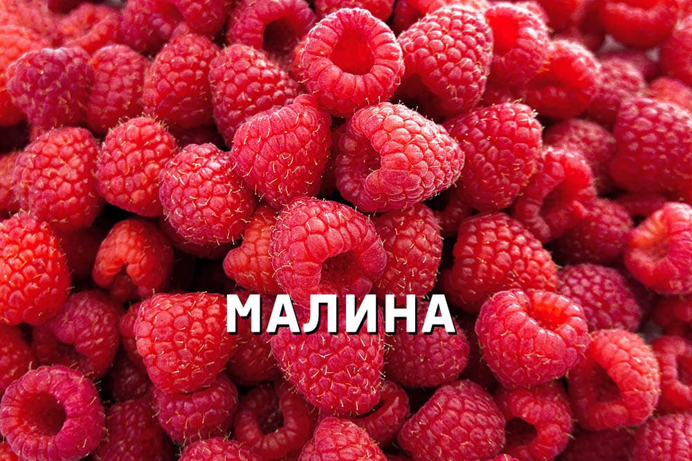 НовыйХолст18ть.jpg