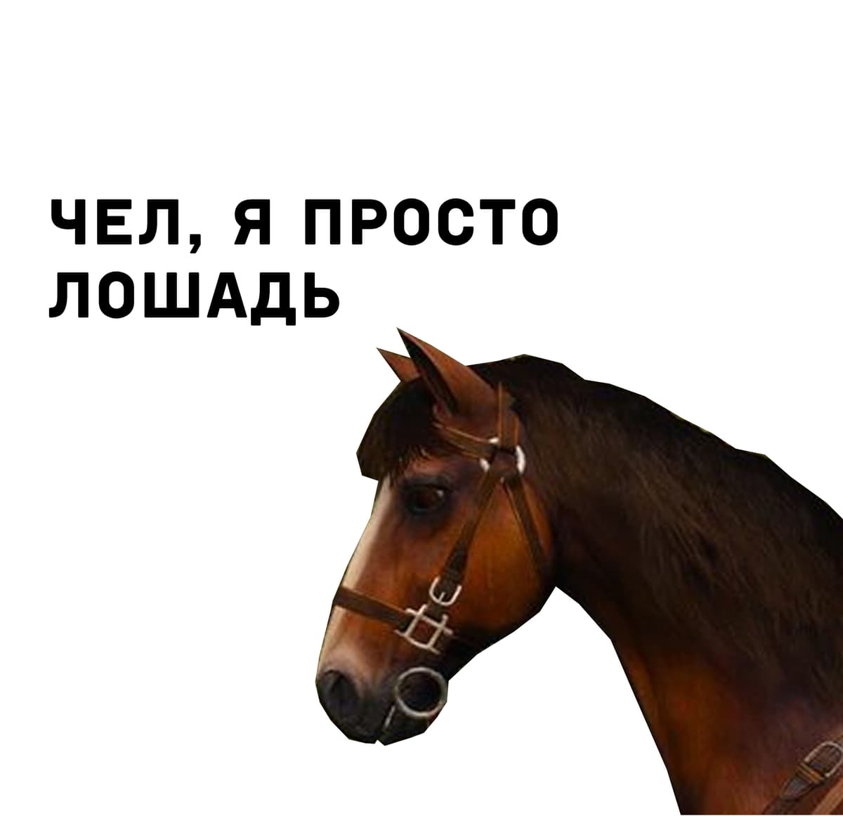 НовыйХолст20аа.jpg