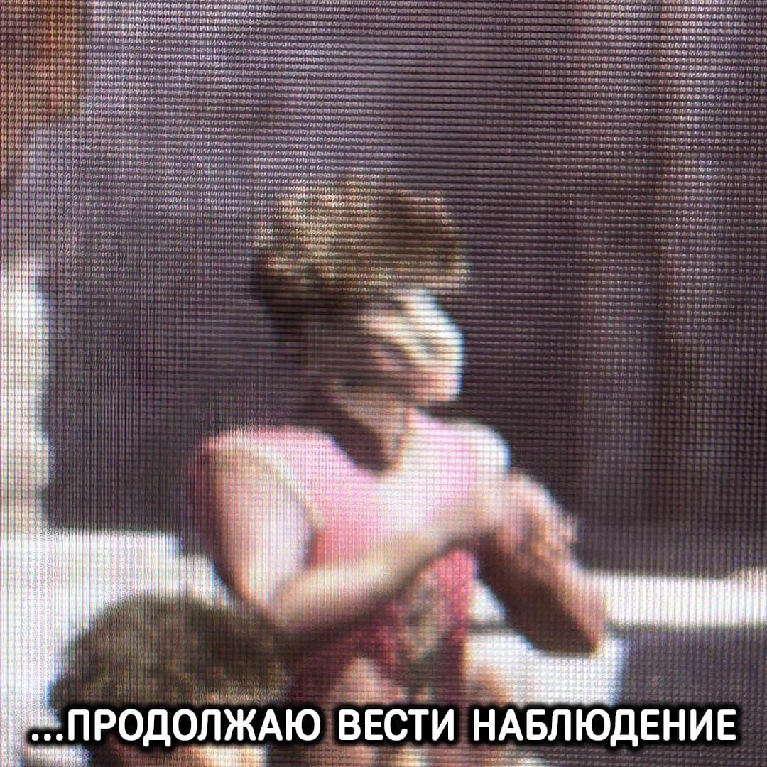 ob1nsNOZpKc.jpg