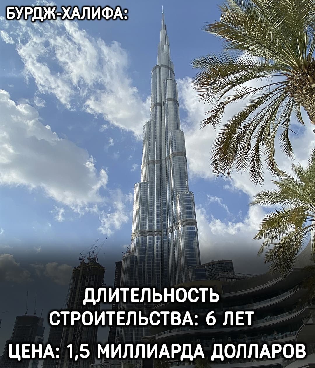 dlFJ6okIMV8.jpg
