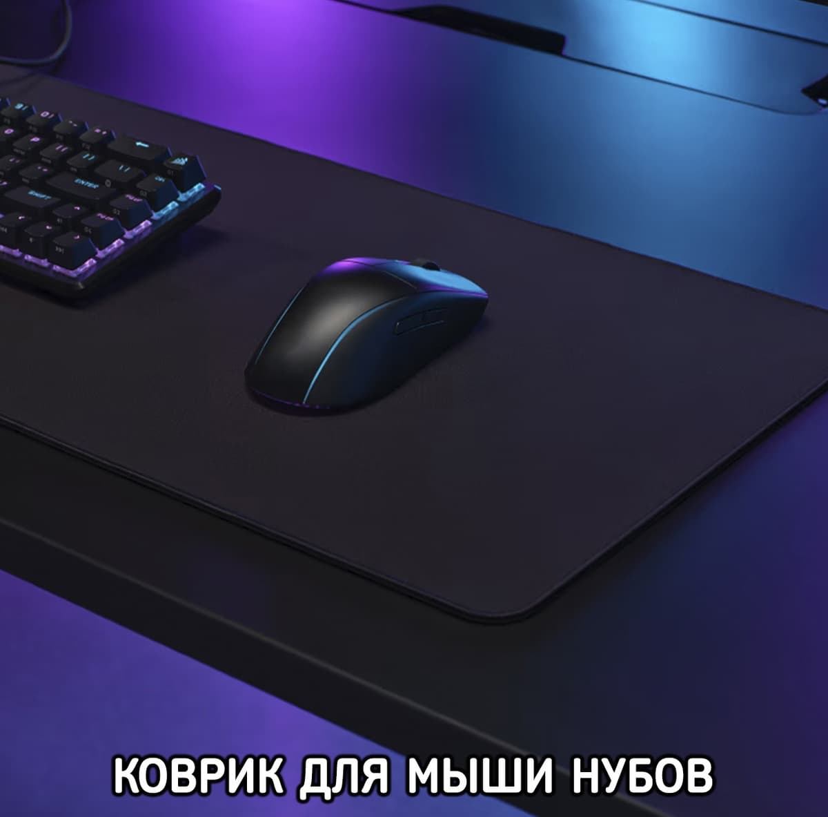 Z2KUXiJijOc.jpg