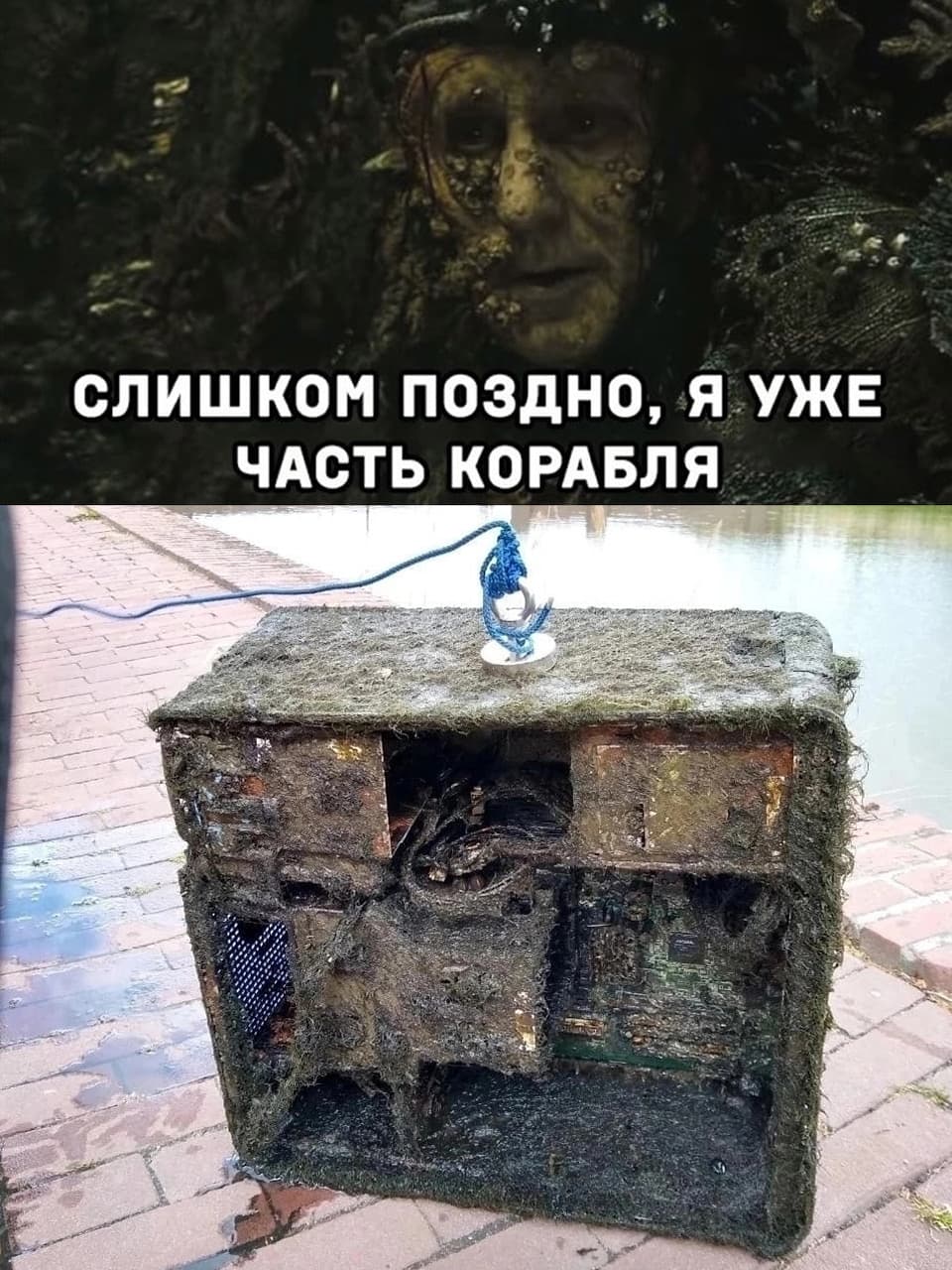 НовыйХолст25Ч.jpg