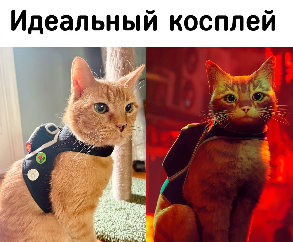 НовыйХолст6в.jpg