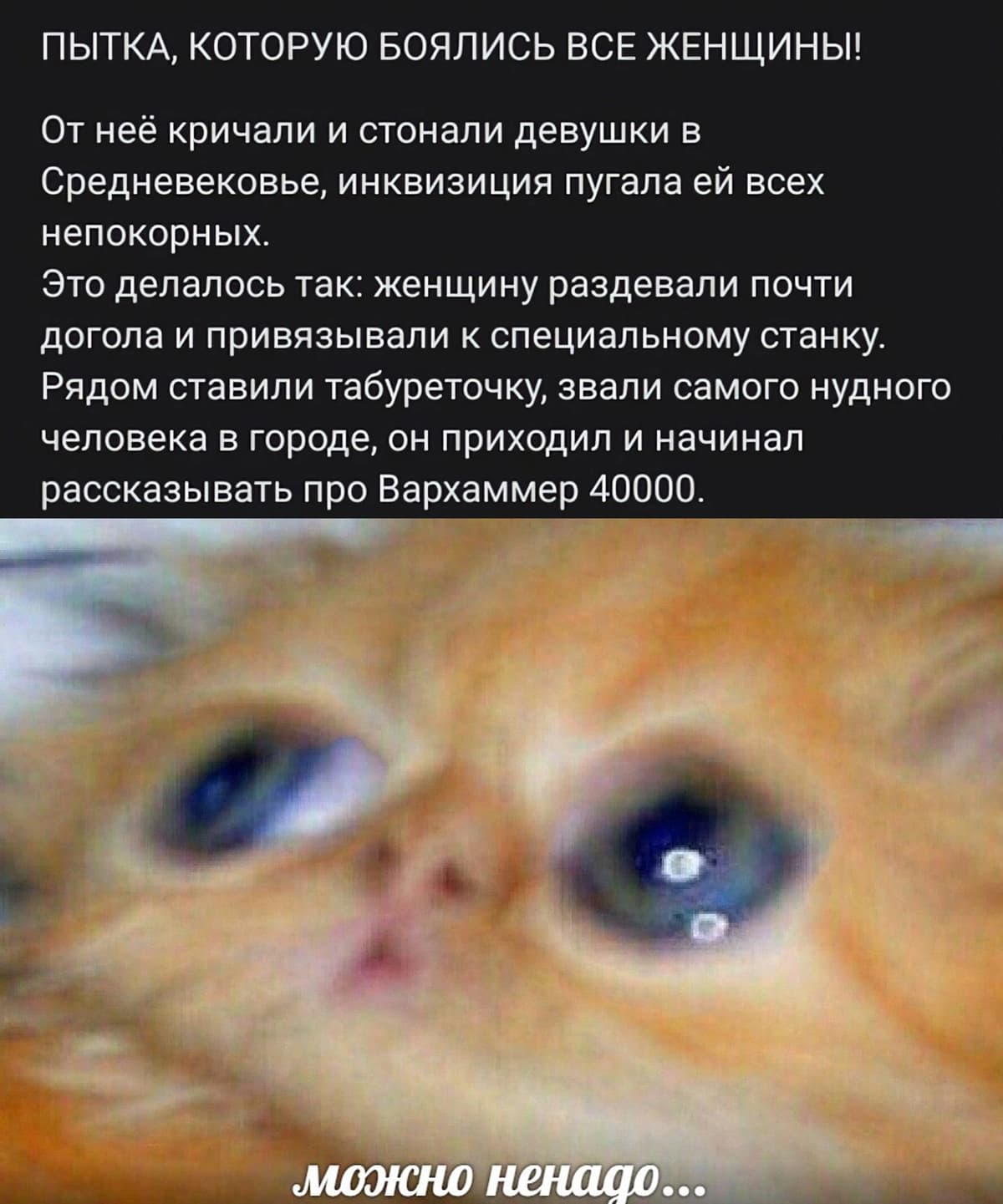 НовыйХолст10аыв.jpg