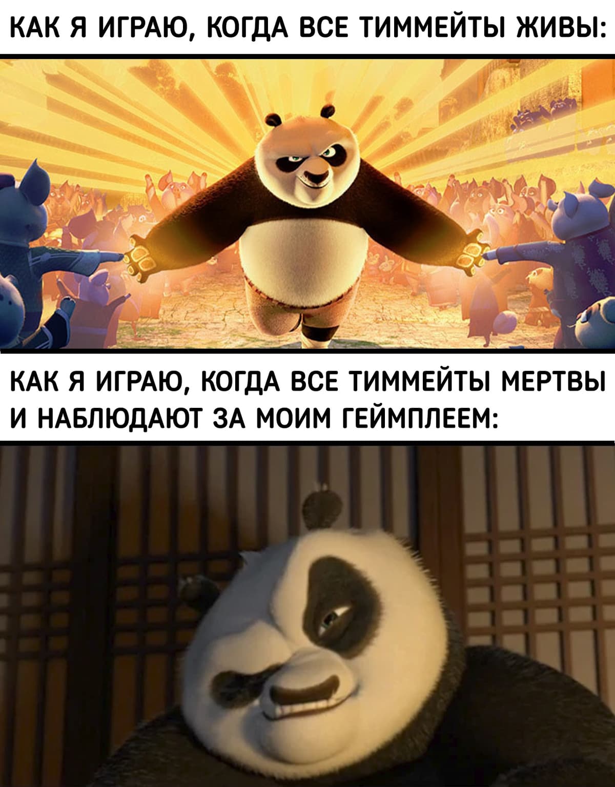C_Za3QGZ73k.jpg