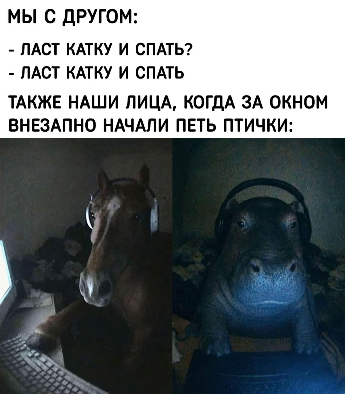 LvCQgfAbEo4.jpg