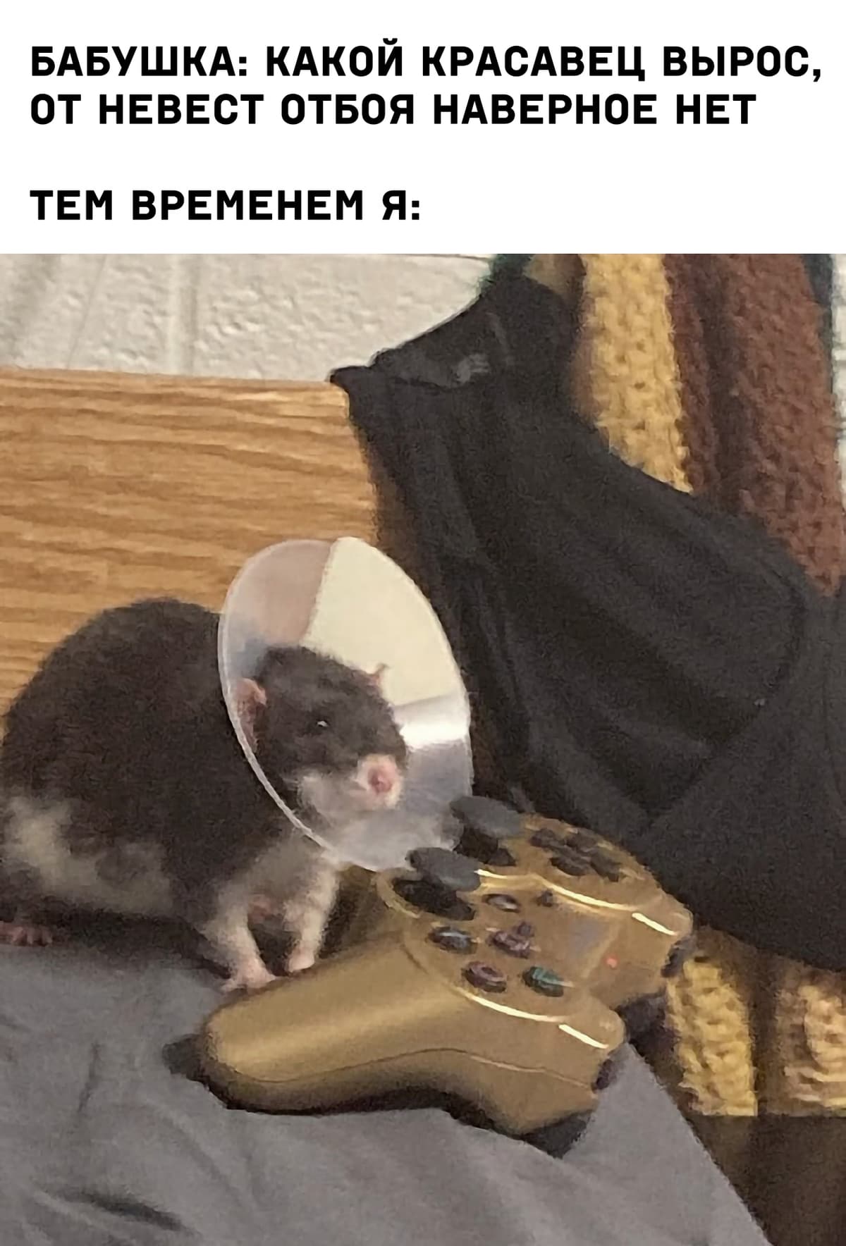 НовыйХолст6в.jpg