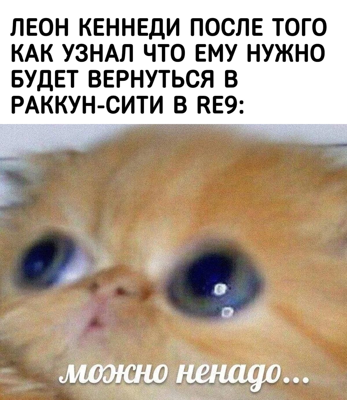 НовыйХолст30в.jpg