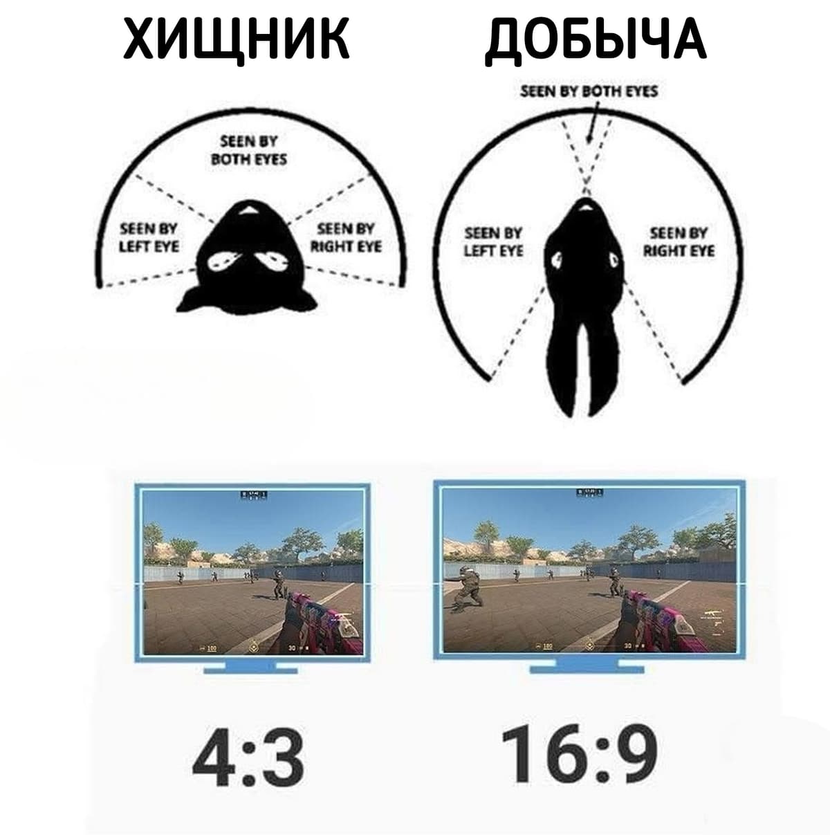 НовыйХолст13В.jpg