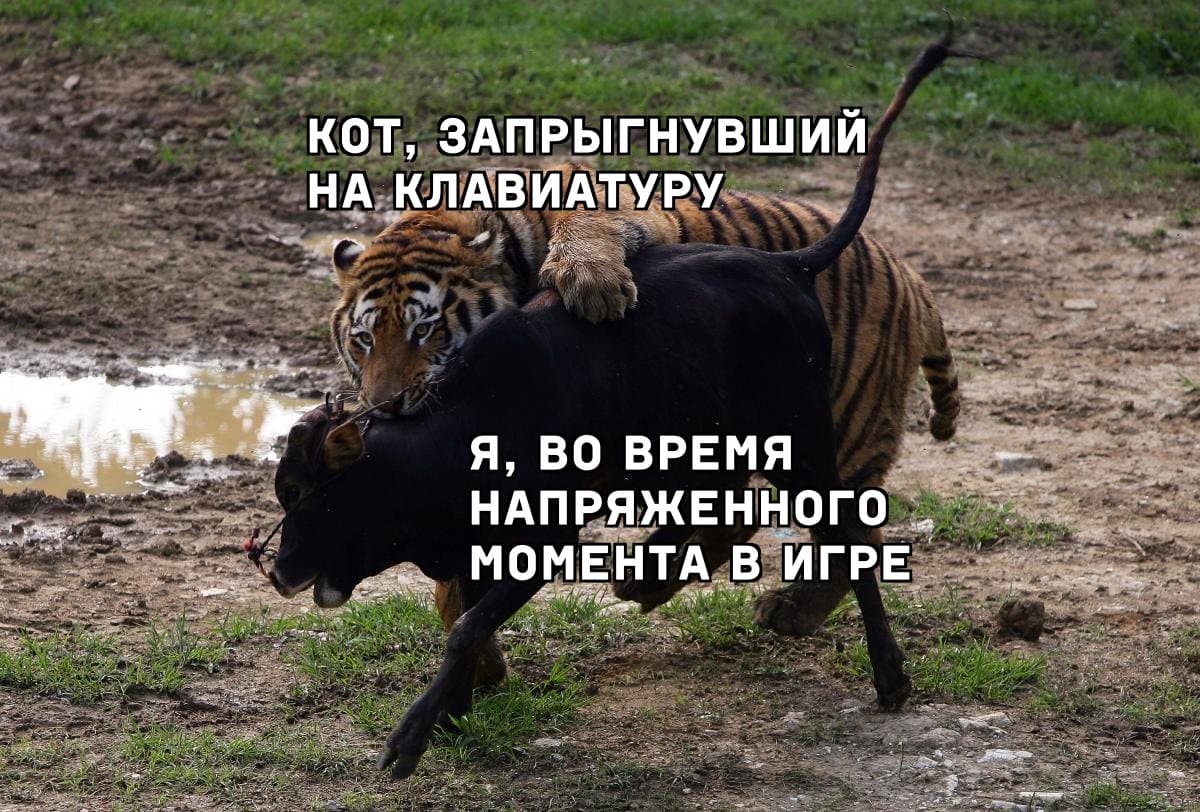 НовыйХолст13в.jpg