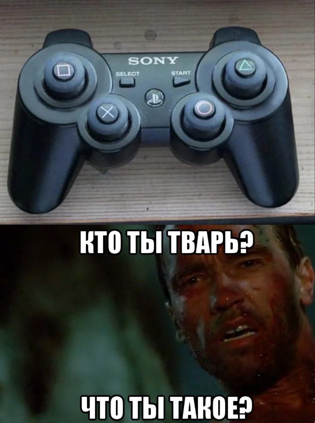 НовыйХолст3dsd.jpg