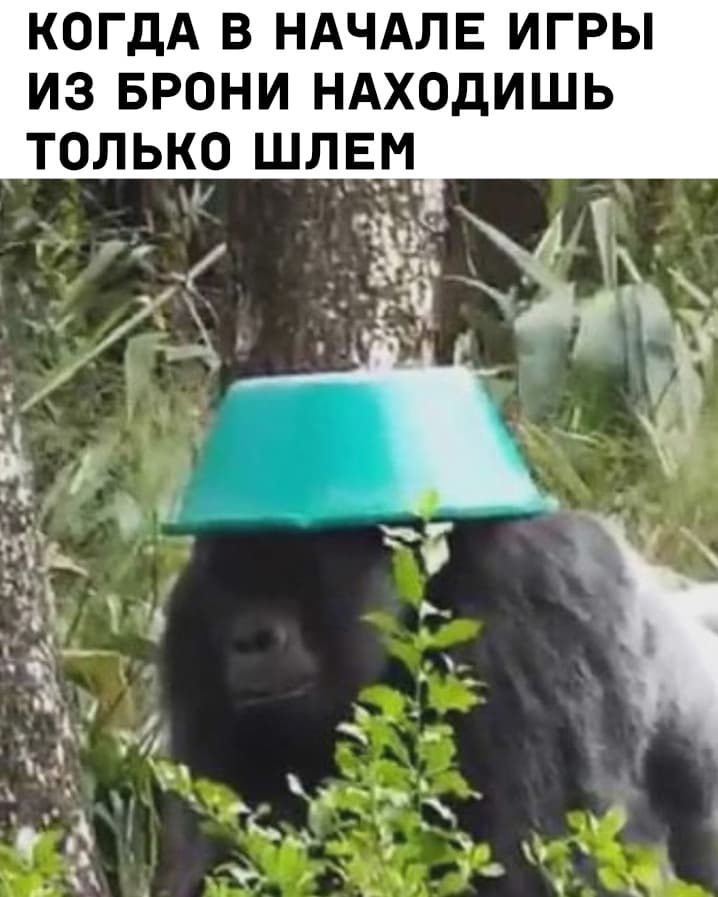 НовыйХолст1.jpg