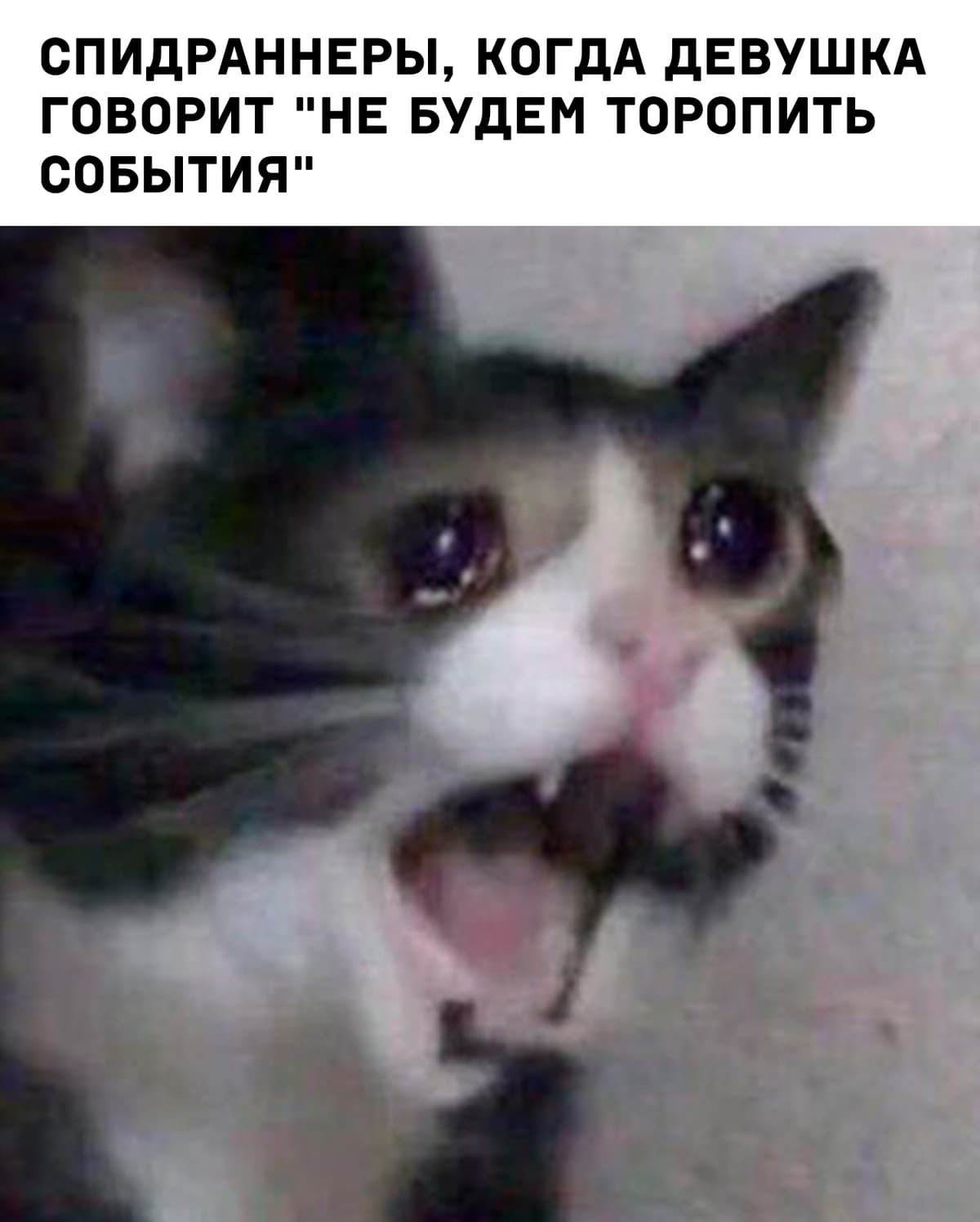 НовыйХолст13.jpg