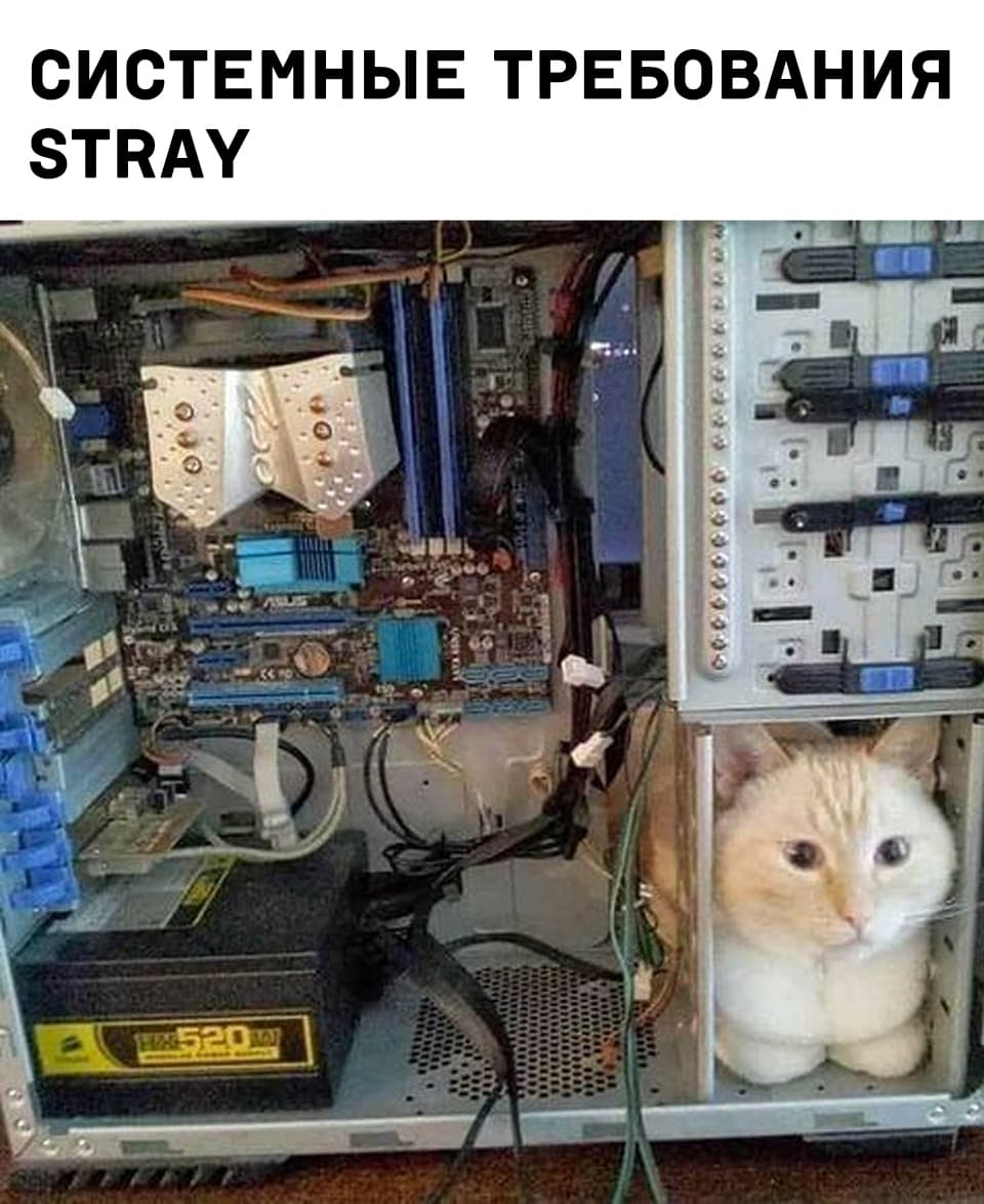 НовыйХолст19.jpg
