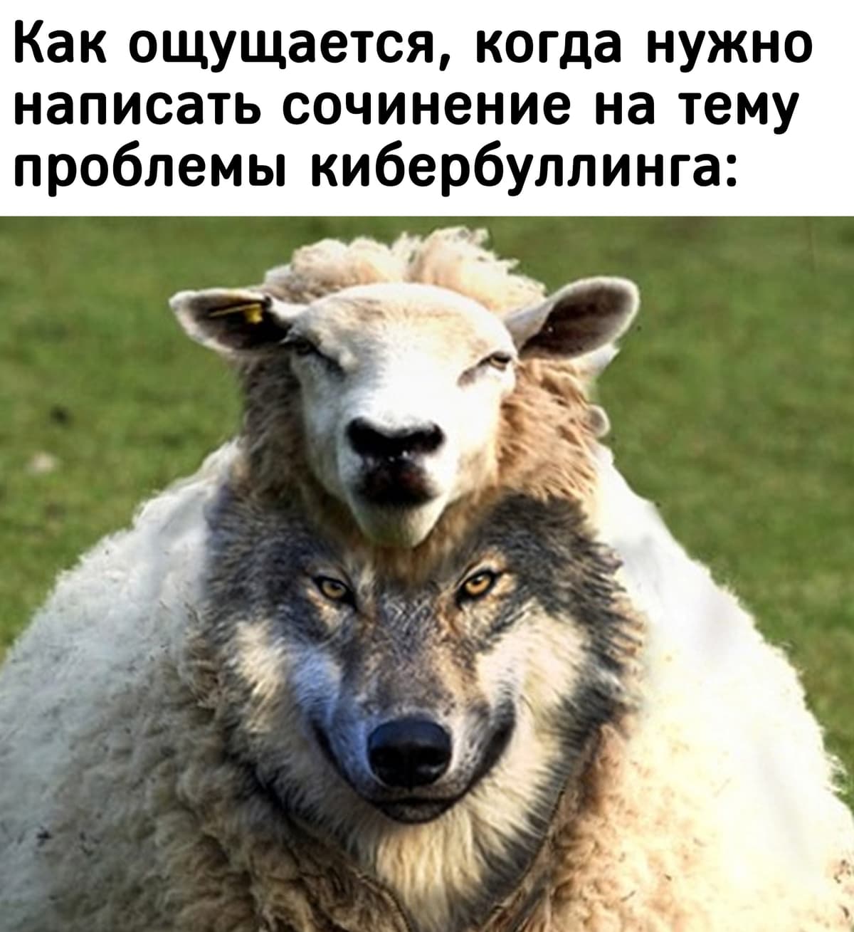 НовыйХолст5ВВ.jpg