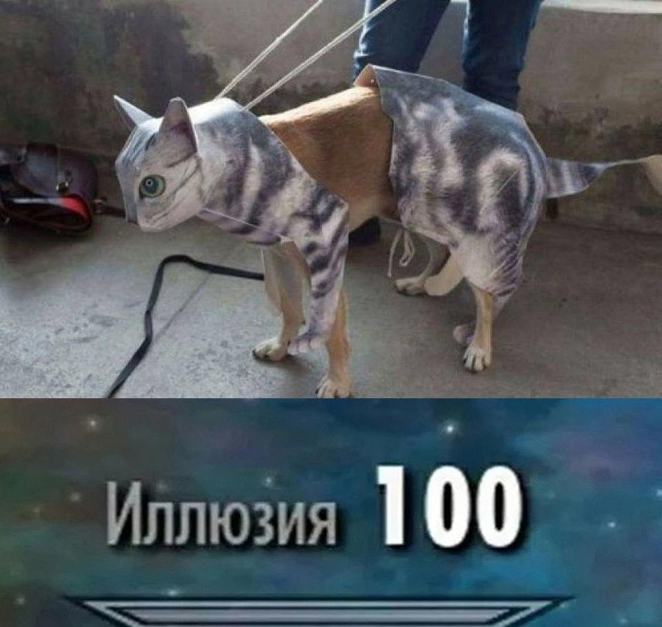 НовыйХолст5вв.jpg