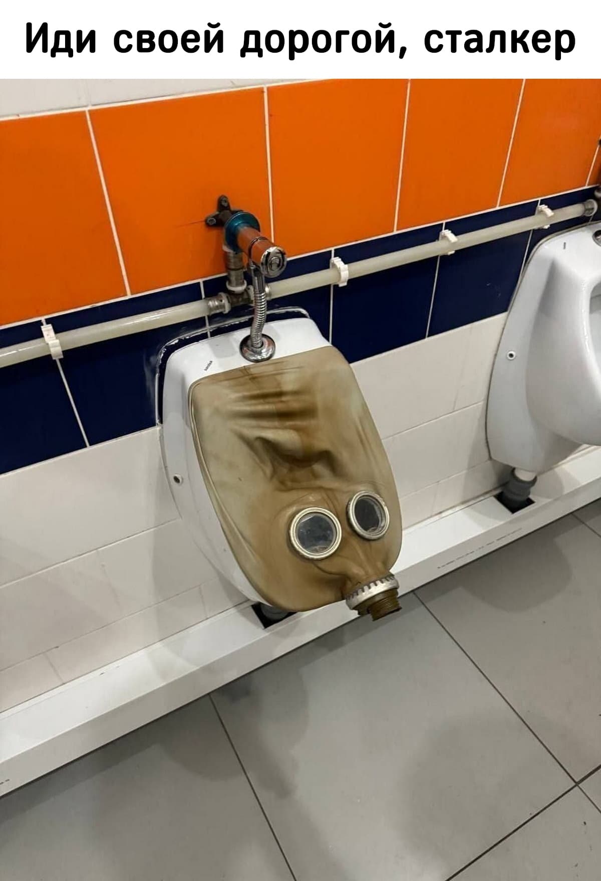 НовыйХолст21а.jpg