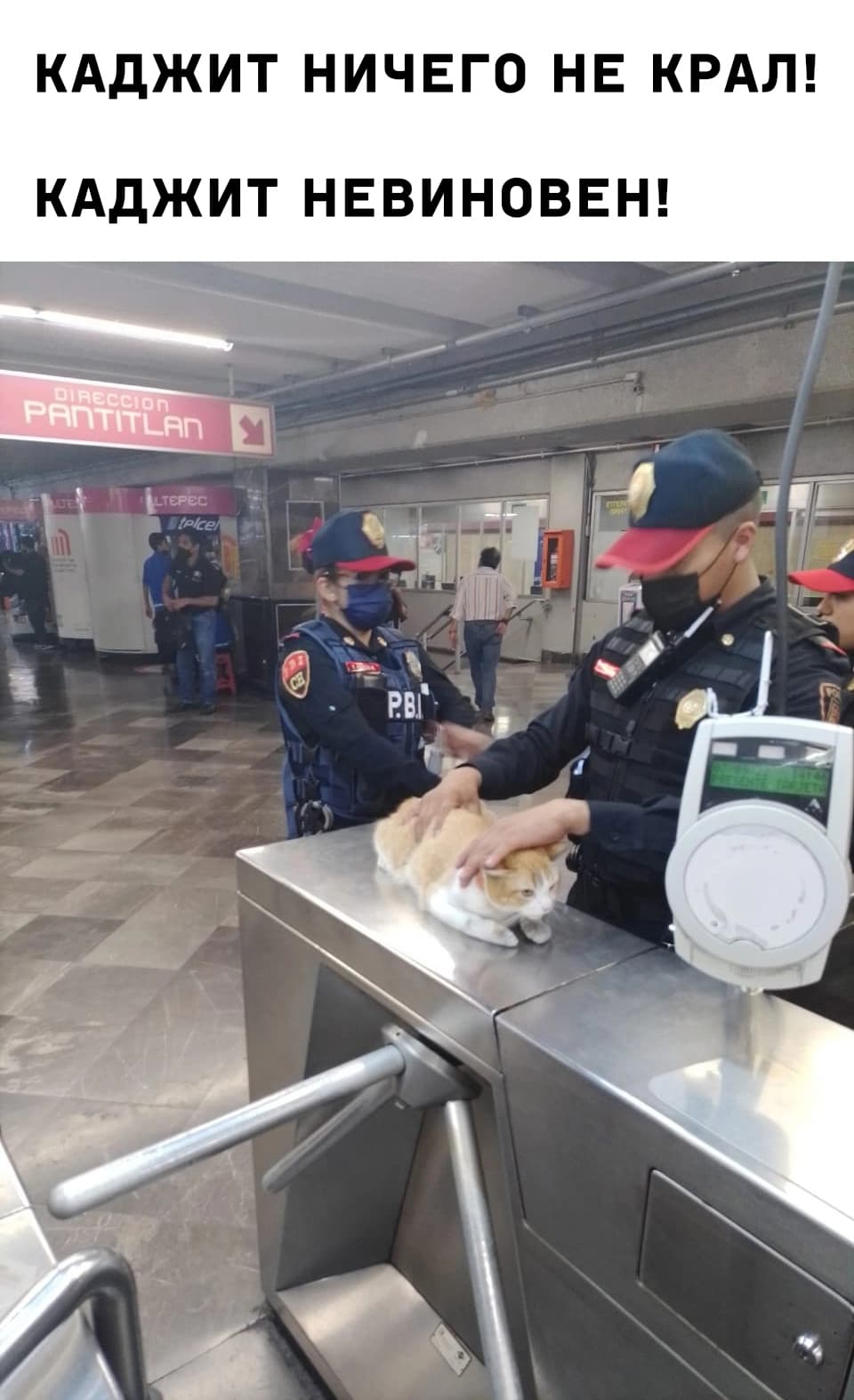 НовыйХолст21.jpg