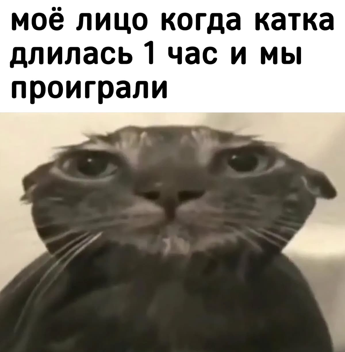 НовыйХолст50в1.jpg