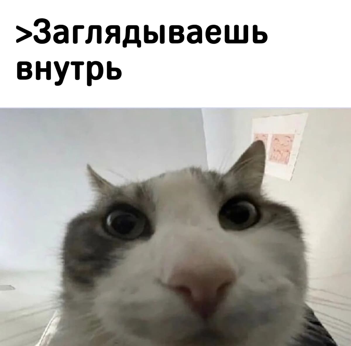 НовыйХолст36в1.jpg